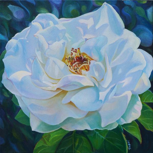 White Rose picture