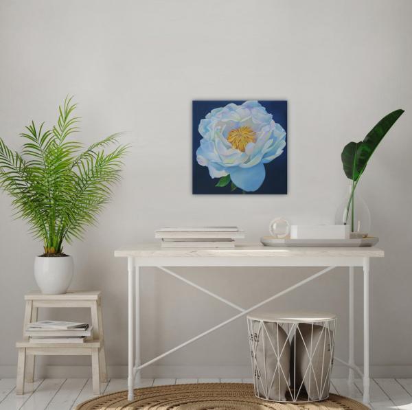 White Peony-Morning Light picture