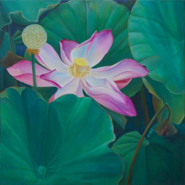 Pink Lotus picture