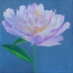 Peony No. 5