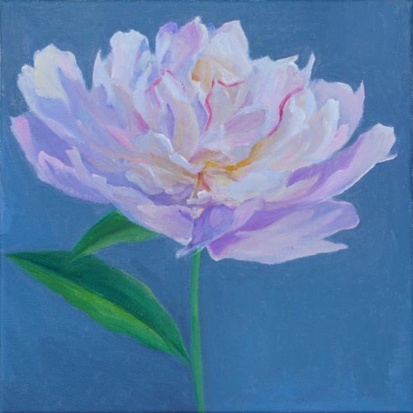 Peony No. 5