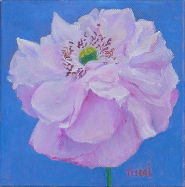 Pink Poppy No.9 picture