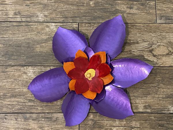 Purple magnolia picture