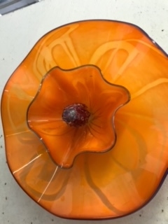 Wall Flower picture