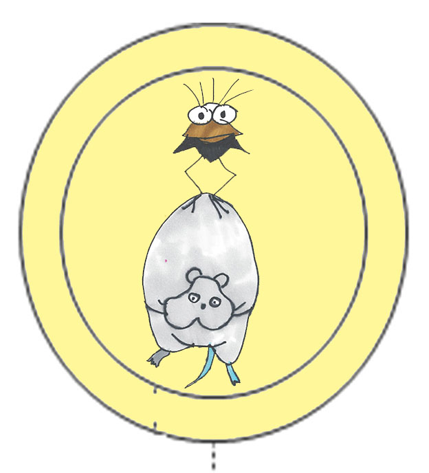 Spirited Away picture