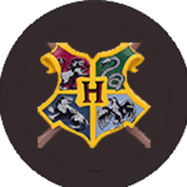 Harry Potter picture