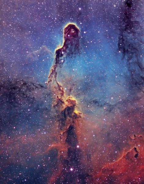 Elephant Trunk Nebula 16X24 Printed on Metal picture