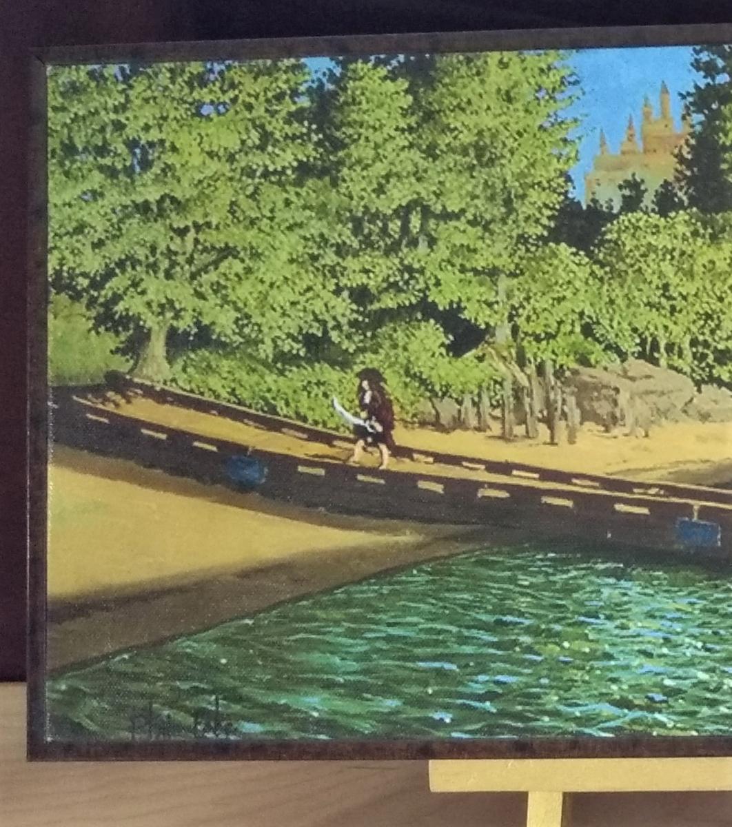 Fake Pirates picture