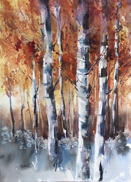 Birches in Fall