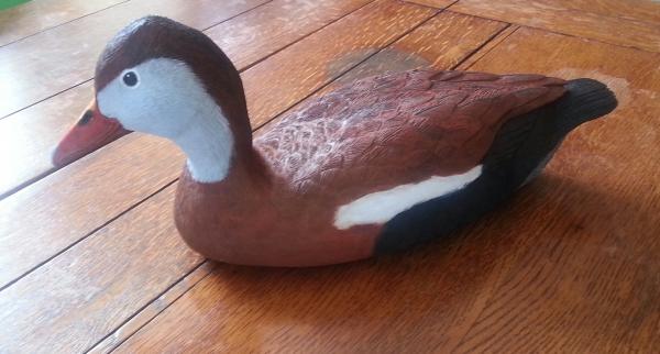 duck decoys picture