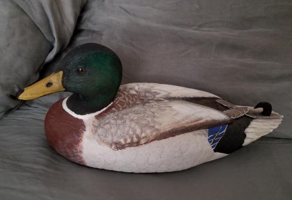 duck decoys picture