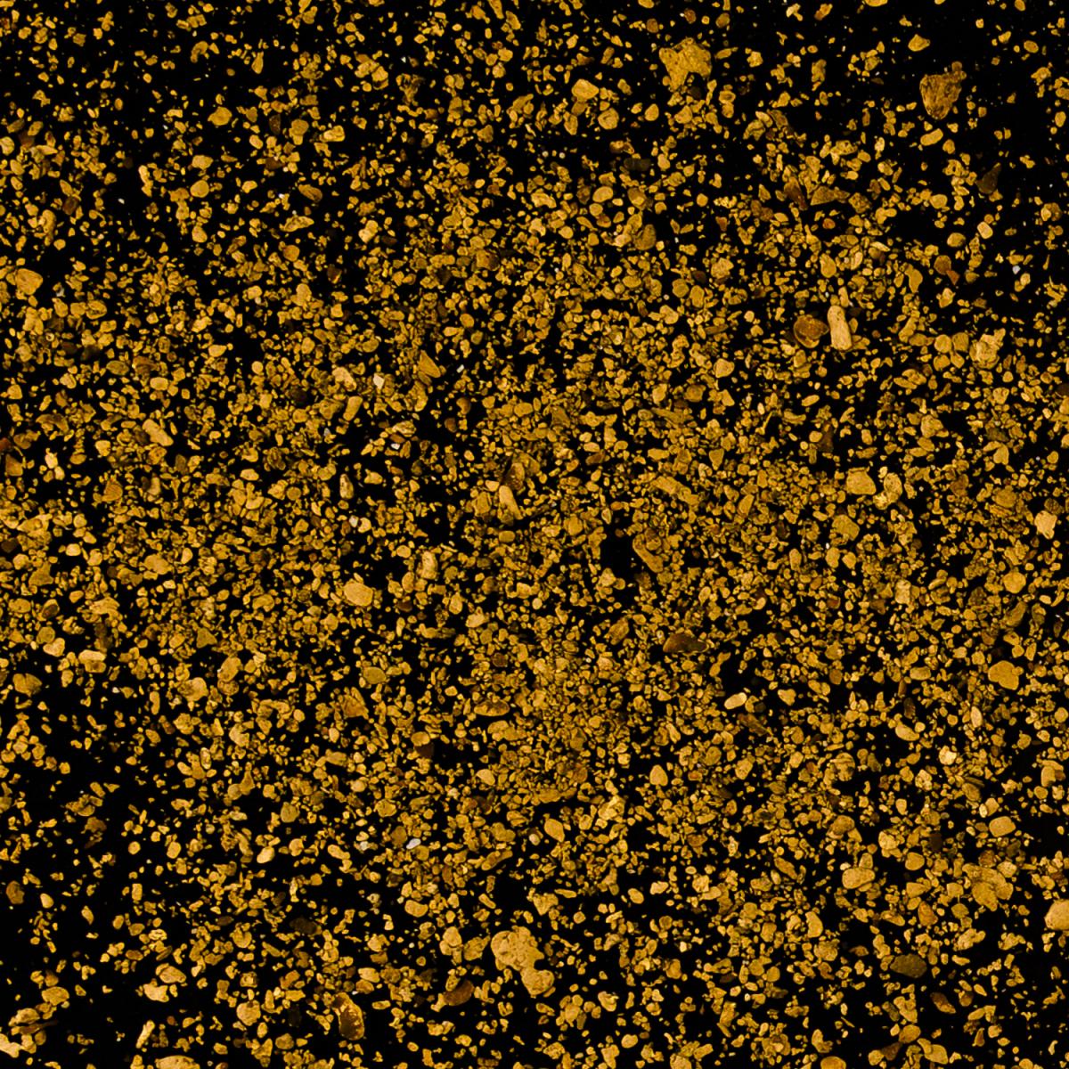 Gold Dust, Study I picture