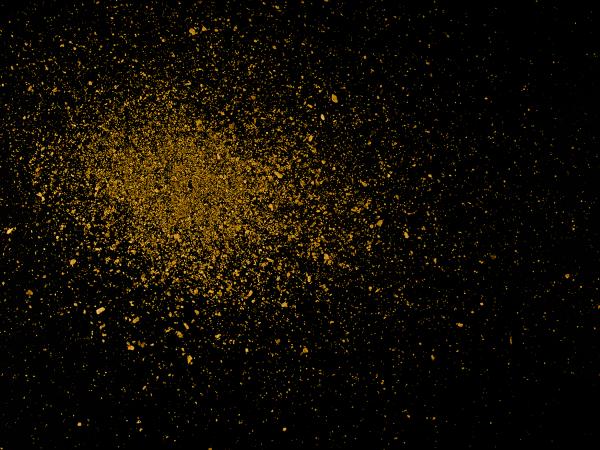 Gold Dust, Study I picture