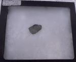 Martian Meteorite Extremely Rare