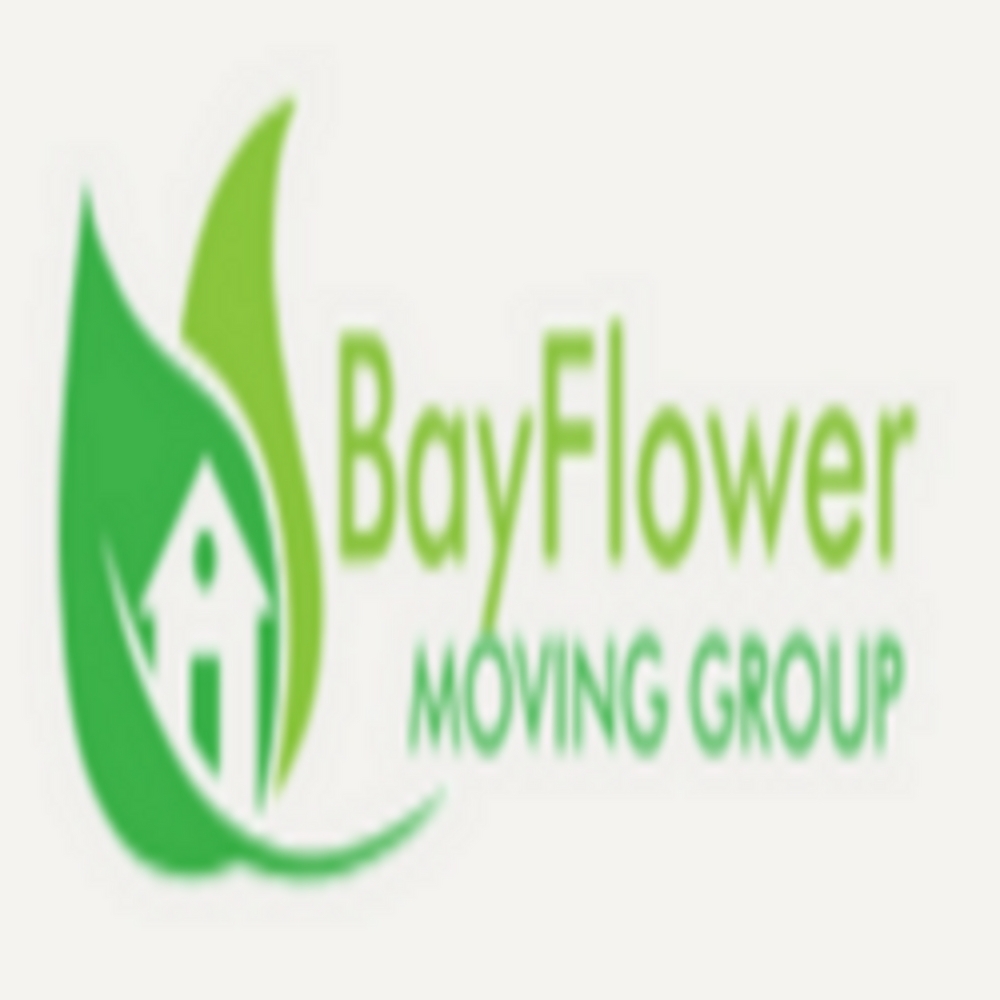 Bayflower User Profile