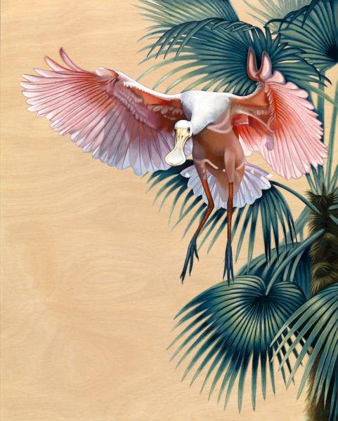 Spoonbill in Flight Paper Print picture