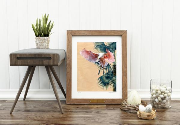 Spoonbill in Flight Paper Print