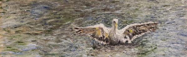 Cedric Williams Fine Art