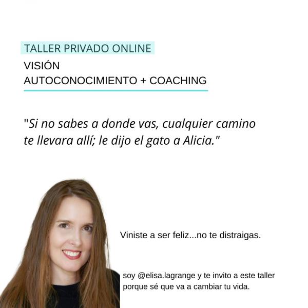 TALLER VISION