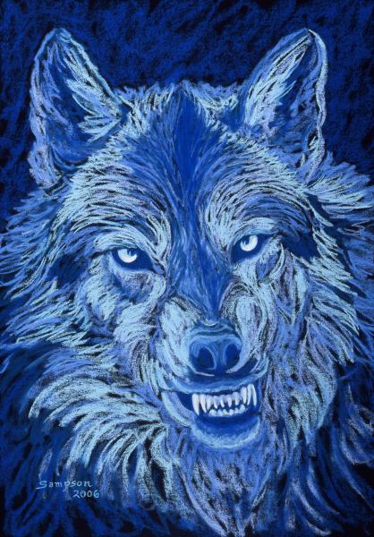 Night - Timber Wolf