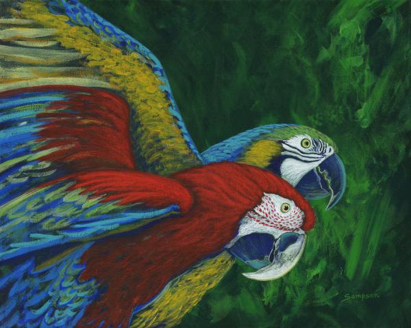 Rainforest Rhapsody - Macaws