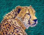 The Watcher - Cheetah