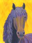 The Stallion