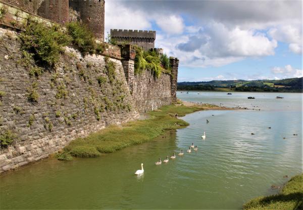 Swan Family of Conwy picture