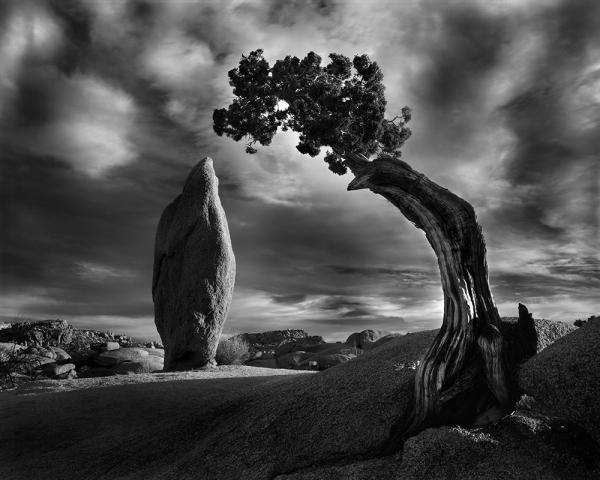 "The Obelisk, JTNP, CA" 40x50 Framed Presentation picture