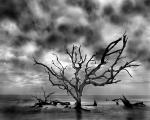 "The Edge of the Continent, Jekyll Island, GA" 36x45 Framed Presentation