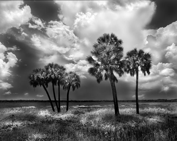 "7 Palms, FL" 32x40 Framed Presentation