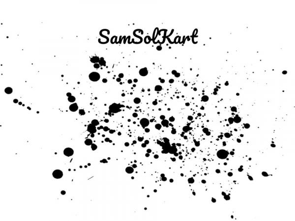 SamSolKart