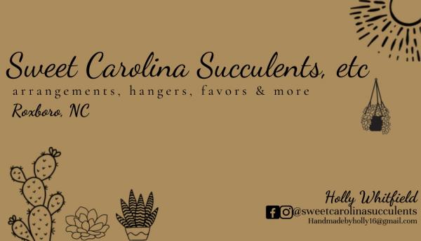 Sweet Carolina Succulents, etc.