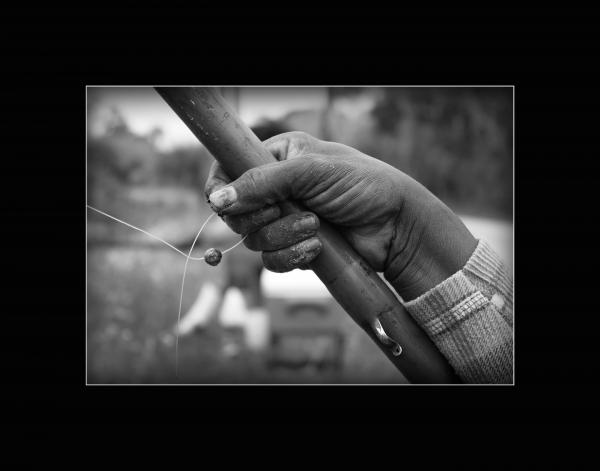 "Cane Pole Fishin' "