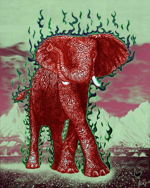 The Luck Elephant