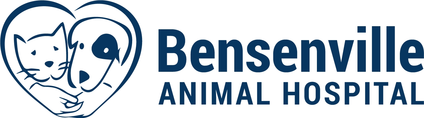 Bensenville Animal Hospital