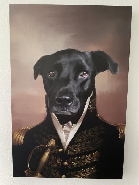 Black Dog Biscuit Co.