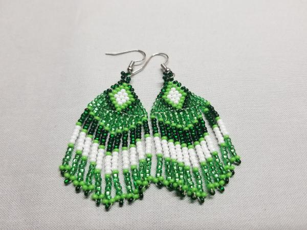 Frindge Beaded Earrings picture