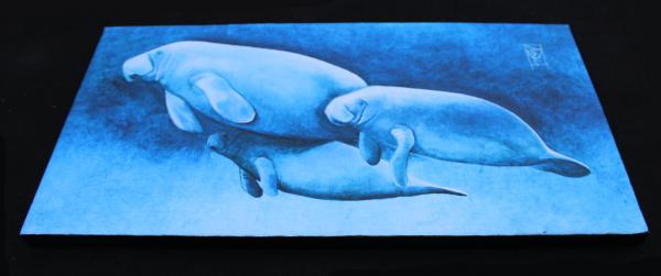 Manatee Family on Canvas picture