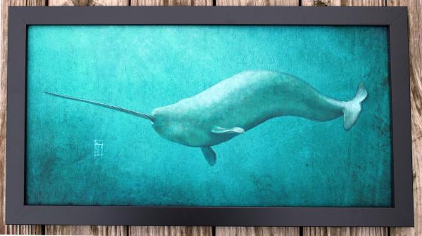 Narwhal Original picture