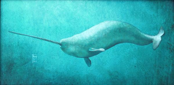 Narwhal Original picture