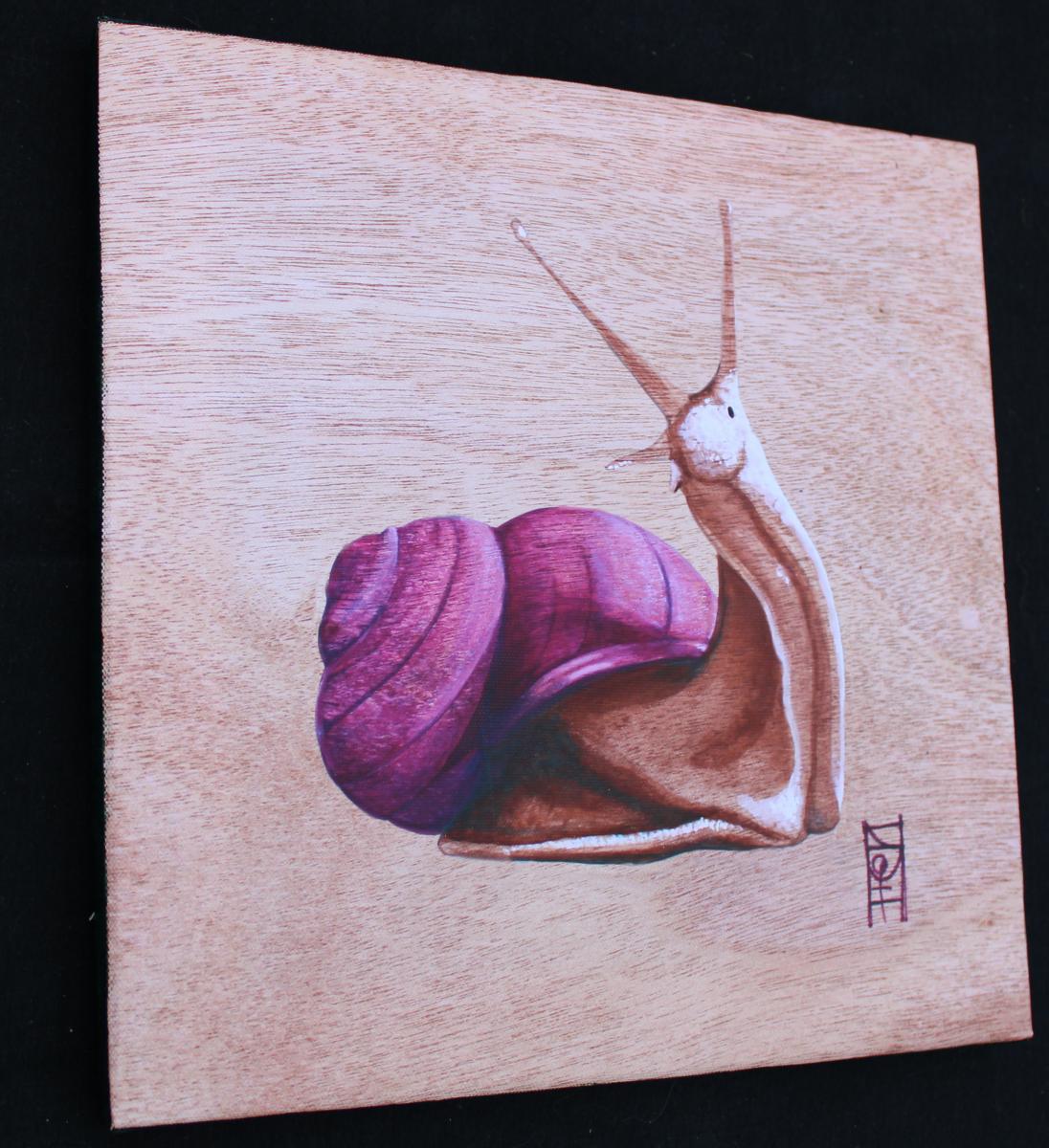 Snail Canvas Print picture