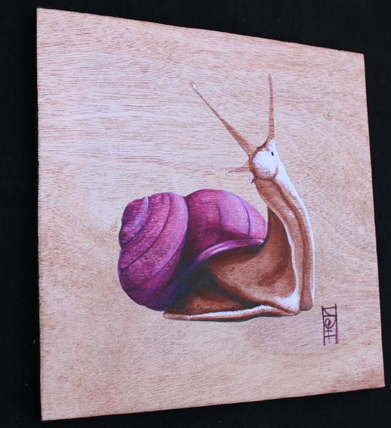 Snail Canvas Print picture