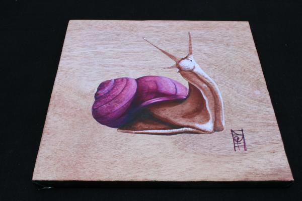 Snail Canvas Print picture