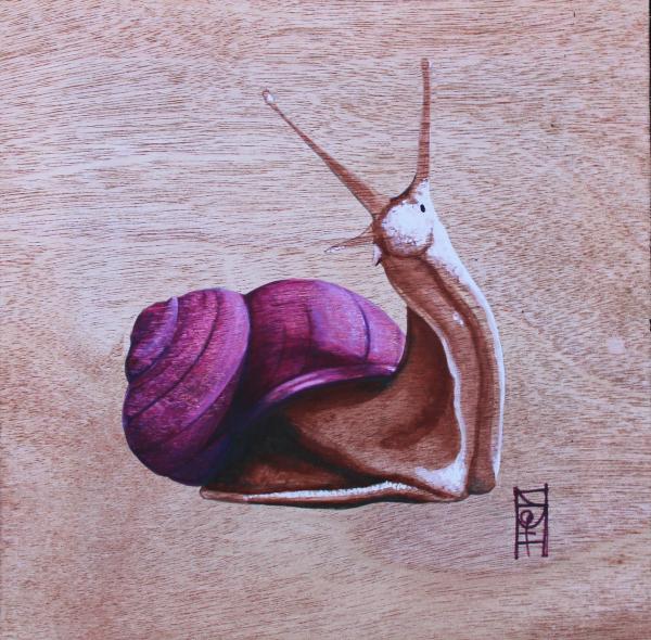 Snail Canvas Print
