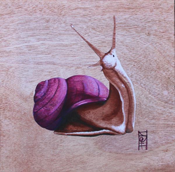 Snail Canvas Print