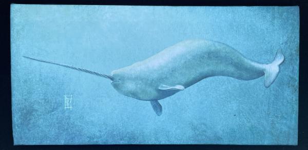 Narwhal print picture