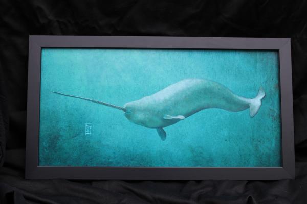 Narwhal Original picture