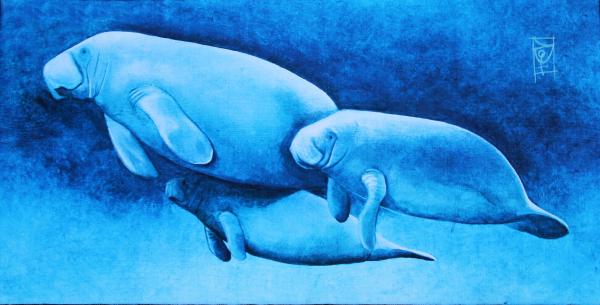 Manatee Family on Canvas picture