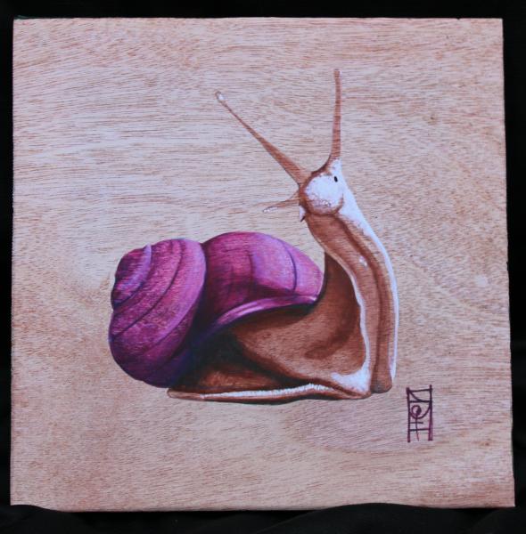 Snail Canvas Print picture